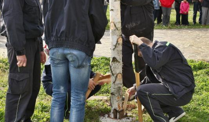 Zobraziť fotografiu
